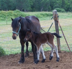 mum and daughter